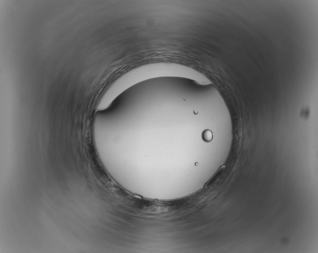 X0000114160276200911051512