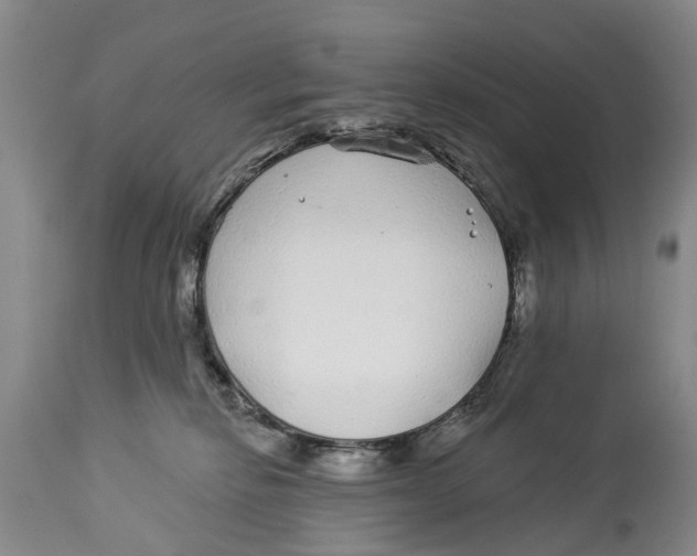 X0000114160278200911051512