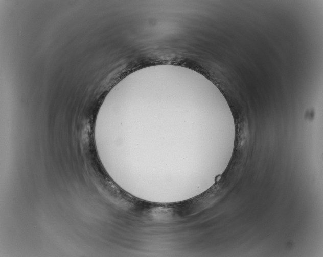 X0000114160279200911051512