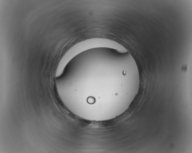 X0000114160280200911051512