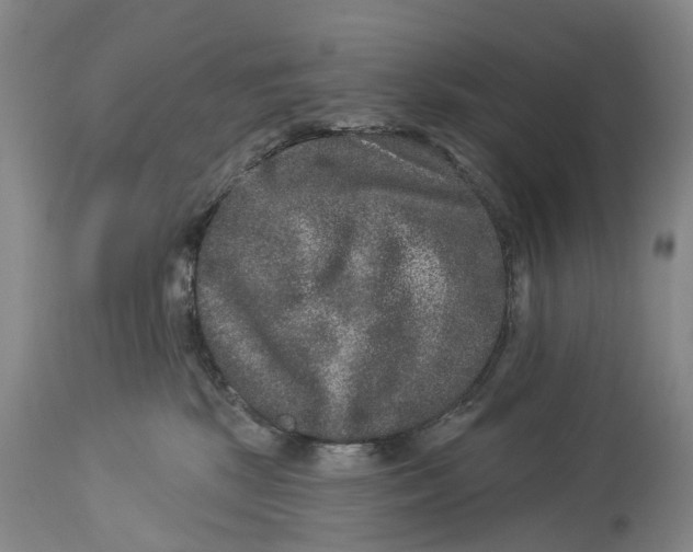 X0000114160281200911051512