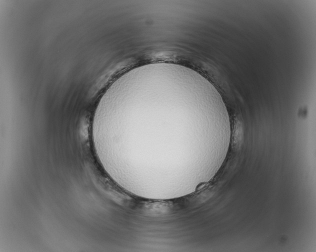 X0000114160282200911051512
