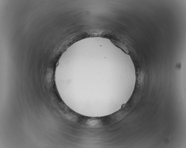 X0000114160283200911051512