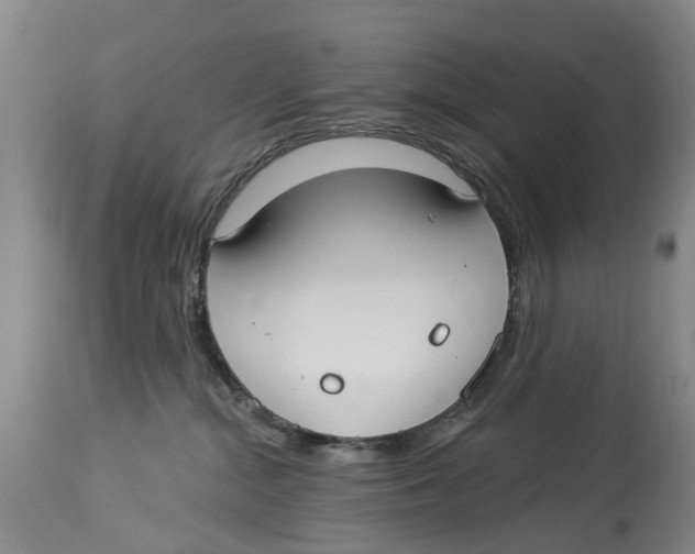X0000114160284200911051512