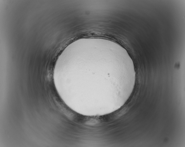 X0000114160285200911051512