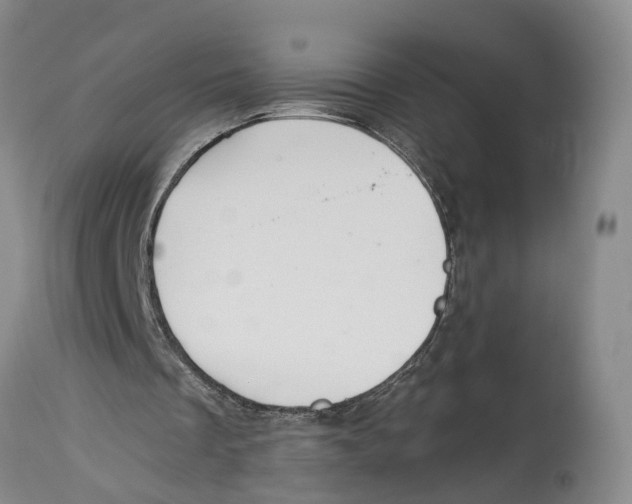 X0000114160289200911051511