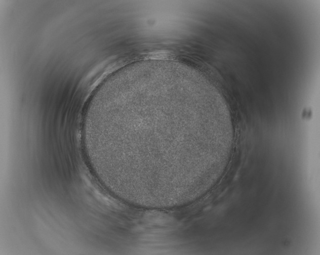 X0000114160290200911051511