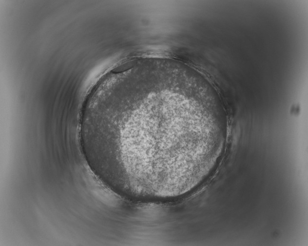 X0000114160293200911051511