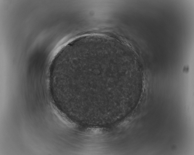 X0000114160295200911051511