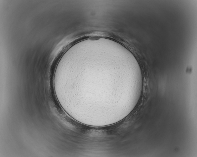 X0000114160296200911051511