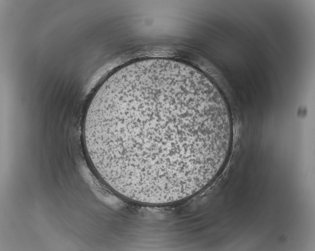 X0000114160297200911051511