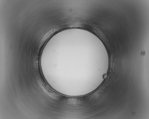 X0000114160298200911051511