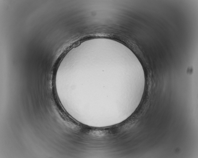 X0000114160299200911051511