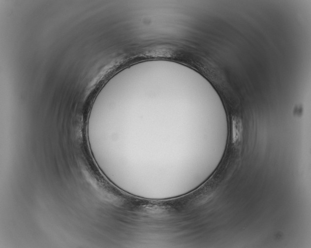X0000114160300200911051511