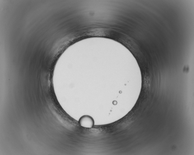 X0000114160302200911051511