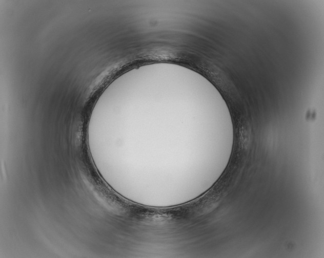 X0000114160304200911051511