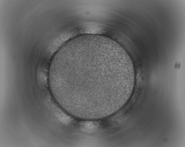 X0000114160305200911051511