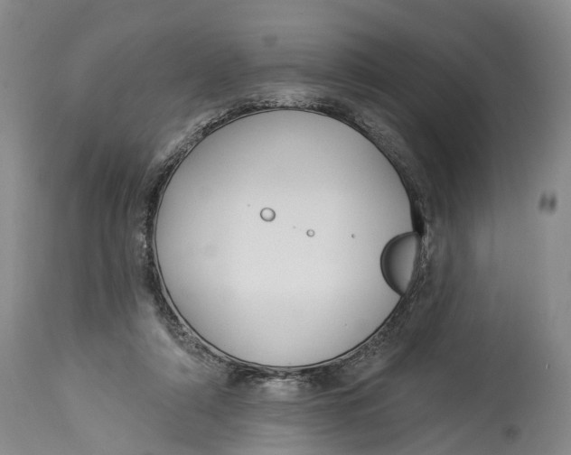 X0000114160306200911051511