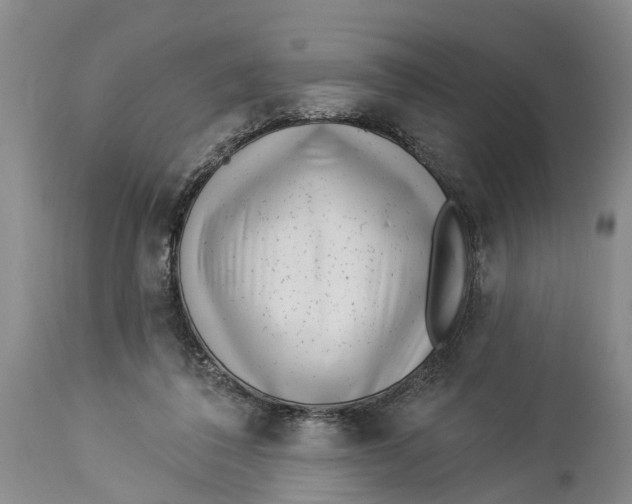 X0000114160308200911051511