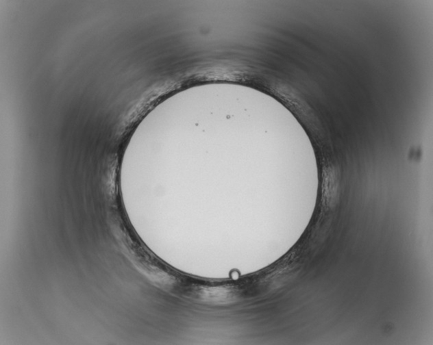 X0000114160309200911051511