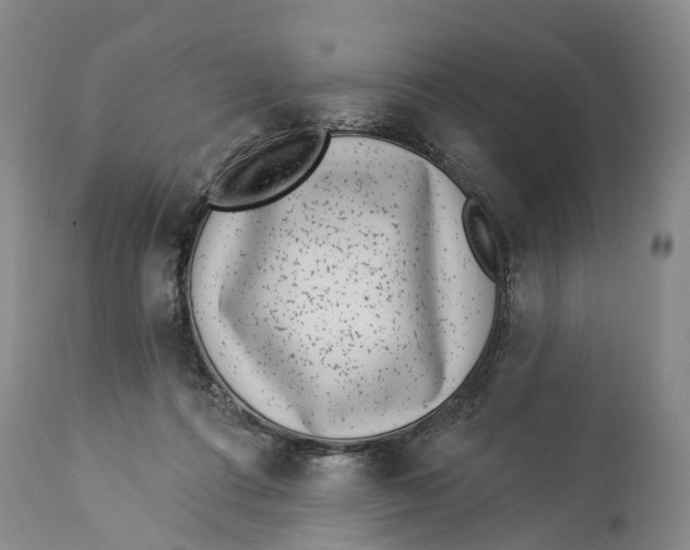 X0000114160312200911051511