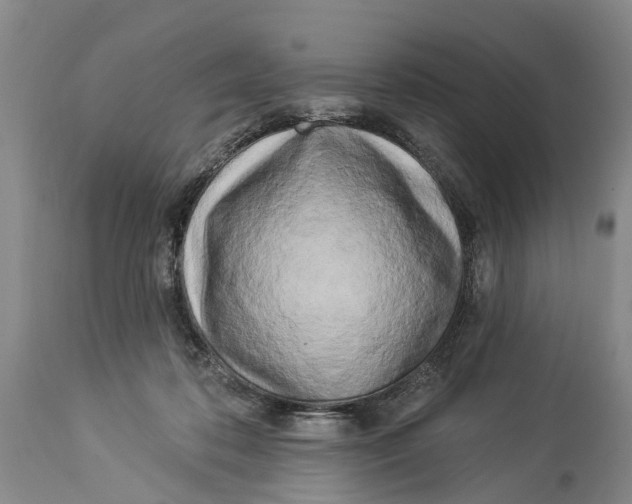X0000114160316200911051511
