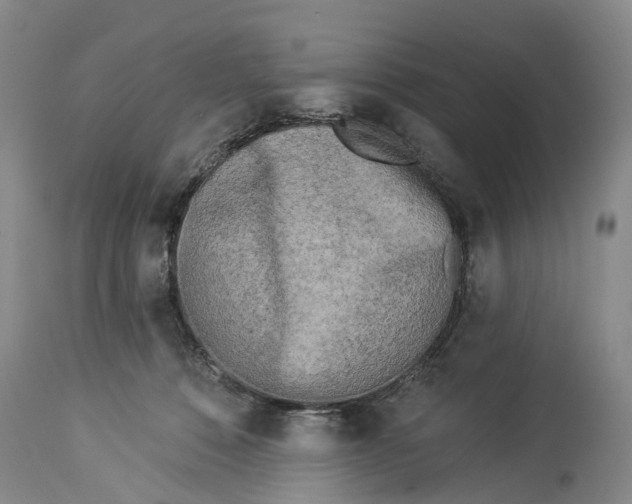 X0000114160320200911051511