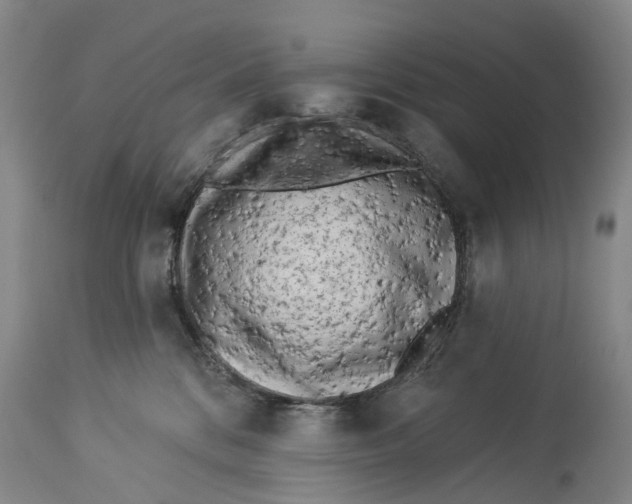 X0000114160328200911051511