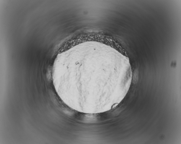X0000114160335200911051510