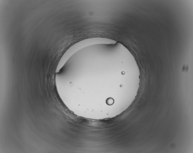 X0000114160336200911051510