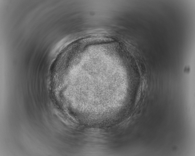 X0000114160339200911051510