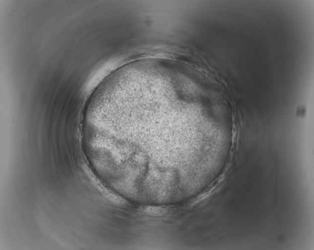 X0000114160341200911051510