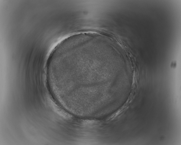 X0000114160342200911051510