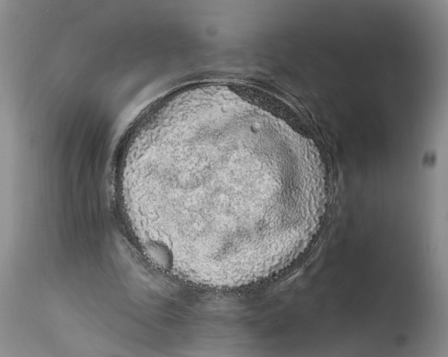X0000114160343200911051510