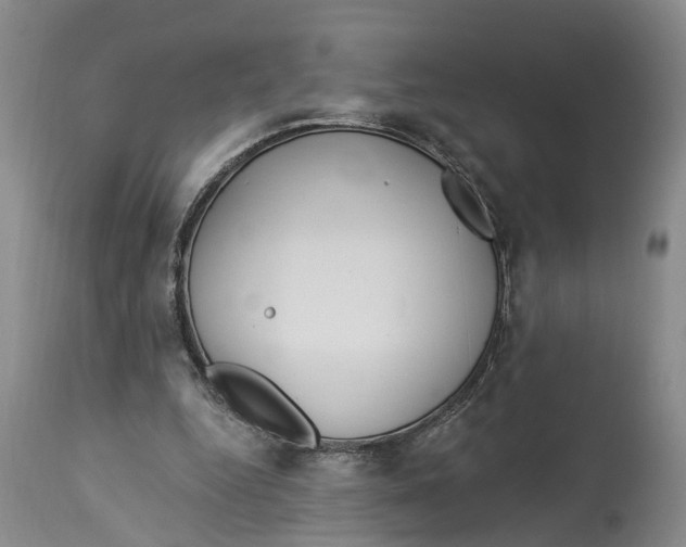 X0000114160344200911051510