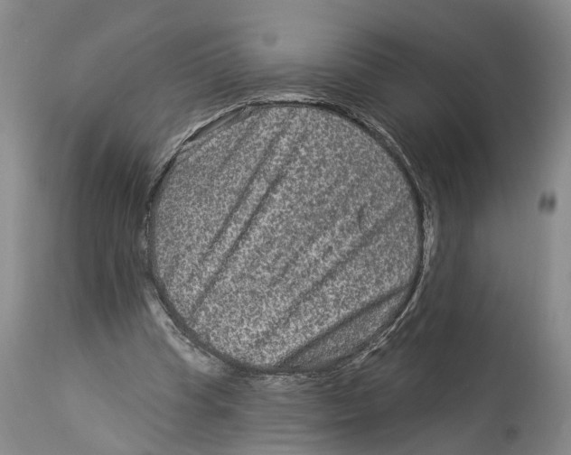 X0000114160345200911051510