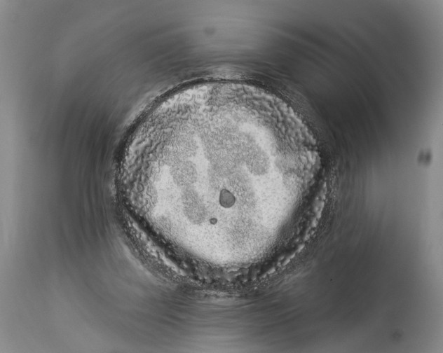 X0000114160347200911051510