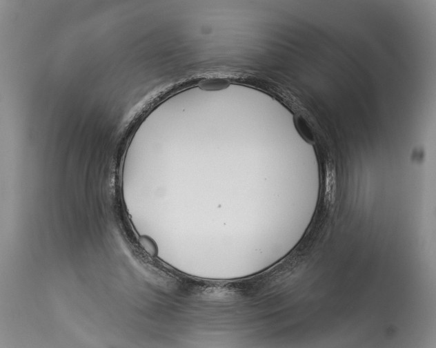 X0000114160348200911051510