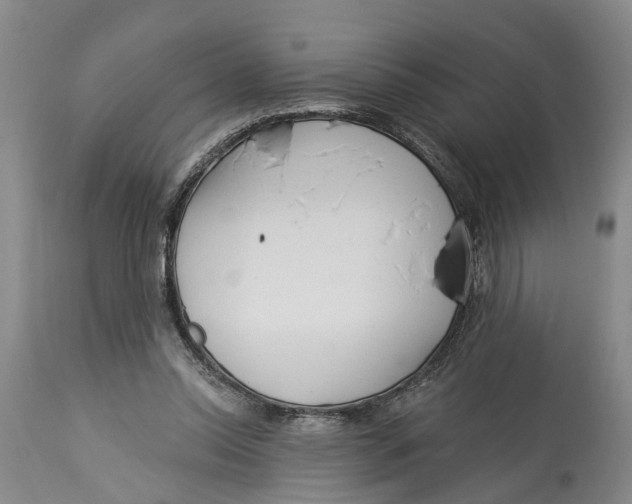 X0000114160350200911051510