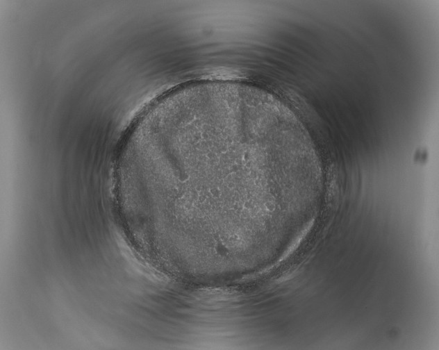 X0000114160351200911051510