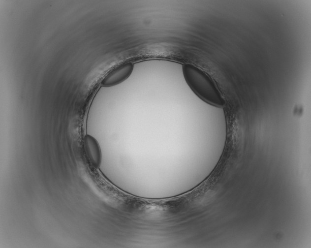 X0000114160352200911051510