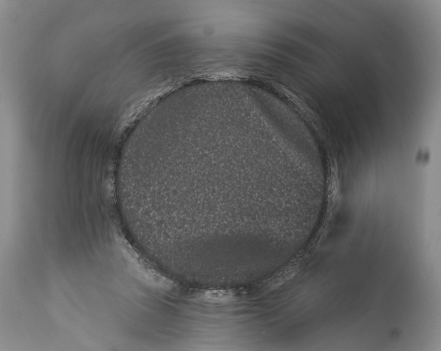 X0000114160353200911051510