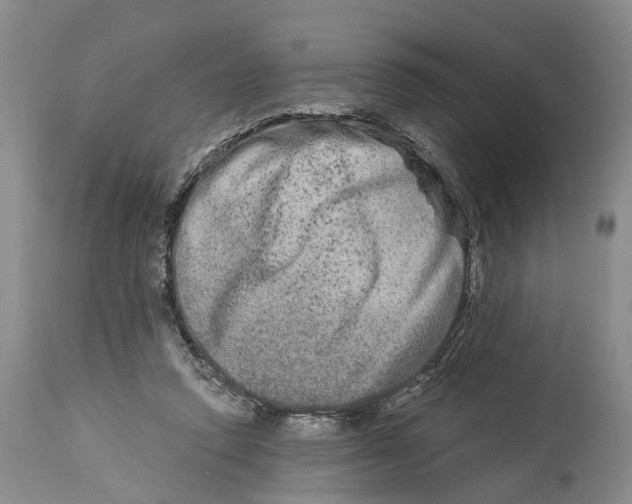 X0000114160354200911051510