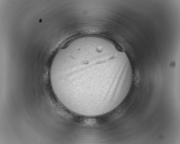X0000114160355200911051510