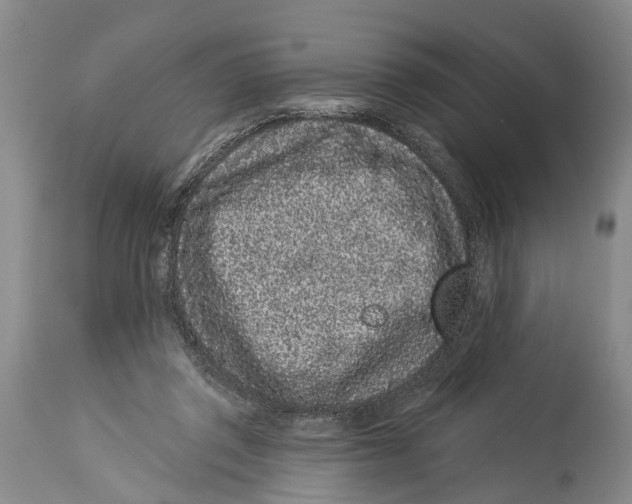 X0000114160357200911051510