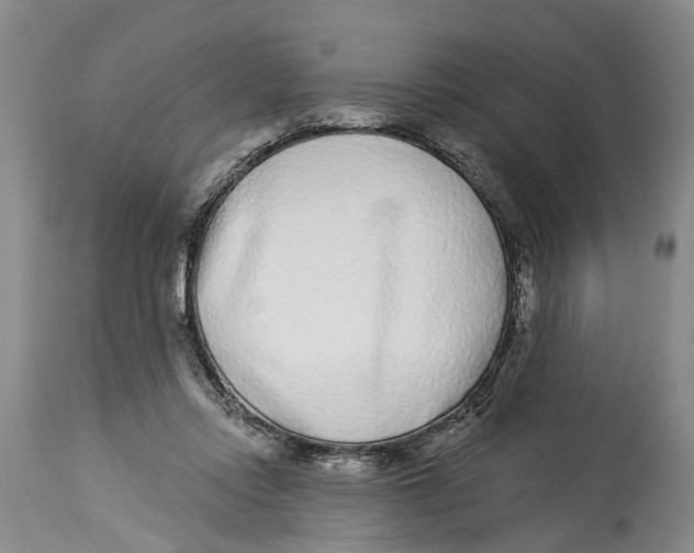 X0000114160358200911051510