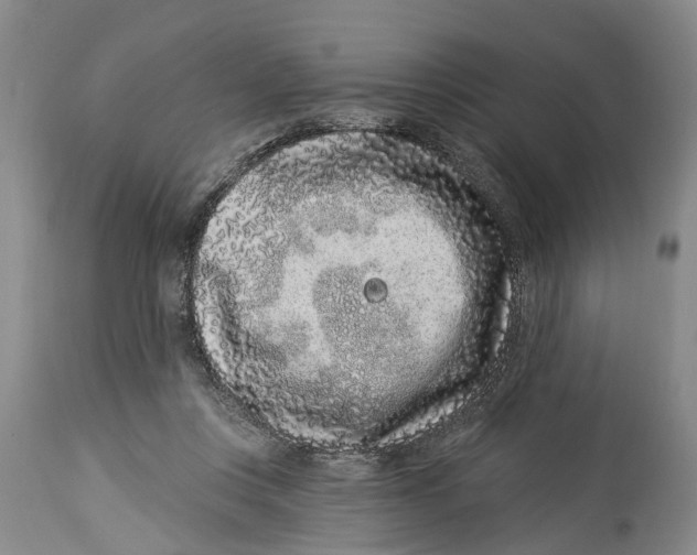 X0000114160359200911051510