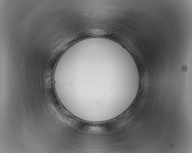 X0000114160360200911051510