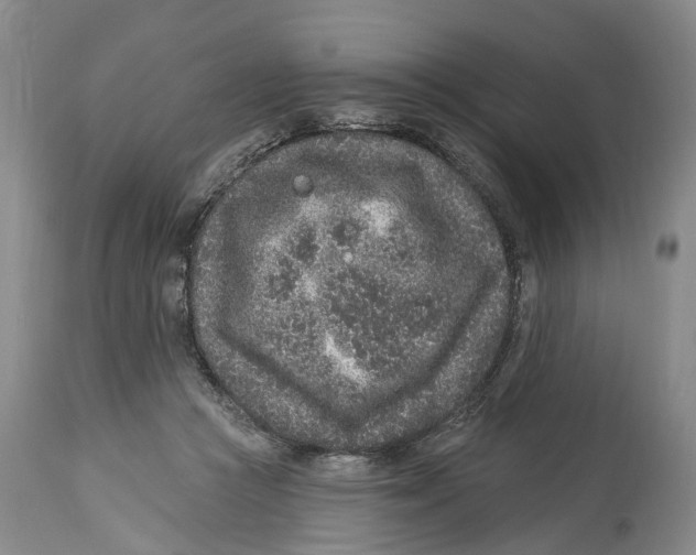 X0000114160361200911051510