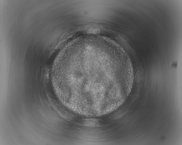 X0000114160363200911051510